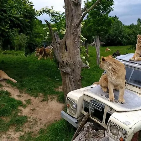 Audrey * Saligny-sur-Roudon